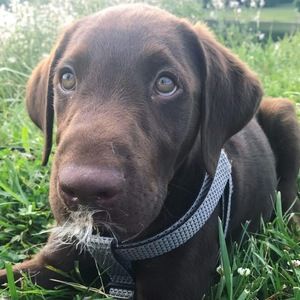 Meet your Posher, Caitlin